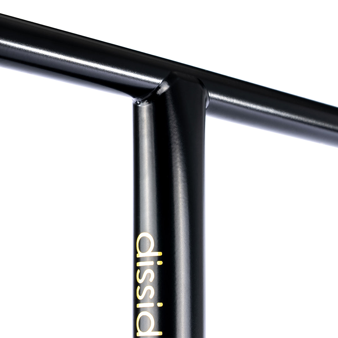 Raw Guidon Dissidence Light Noir